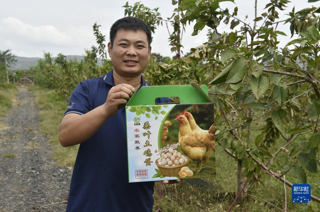 威尼斯人电子厅